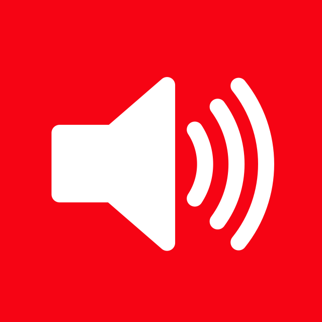 OnePlus Speaker Not Working